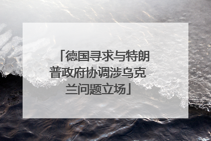 德国寻求与特朗普政府协调涉乌克兰问题立场
