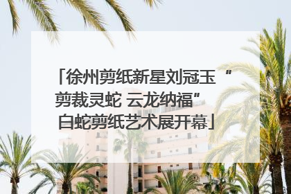 徐州剪纸新星刘冠玉“剪裁灵蛇 云龙纳福” 白蛇剪纸艺术展开幕
