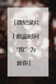 微纪录片丨跑赢时间 “植”为救你