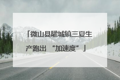 微山县驩城镇三夏生产跑出 “加速度”