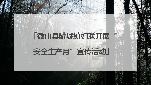 微山县驩城镇妇联开展“安全生产月”宣传活动
