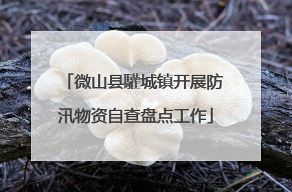 微山县驩城镇开展防汛物资自查盘点工作
