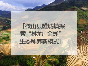 微山县驩城镇探索“林地+金蝉”生态种养新模式
