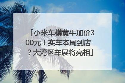 小米车模黄牛加价300元！实车本周到店？大湾区车展将亮相