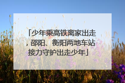 少年乘高铁离家出走，邵阳、衡阳两地车站接力守护出走少年
