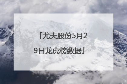 尤夫股份5月29日龙虎榜数据