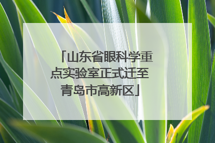 山东省眼科学重点实验室正式迁至青岛市高新区