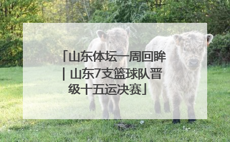 山东体坛一周回眸｜山东7支篮球队晋级十五运决赛