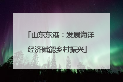 山东东港：发展海洋经济赋能乡村振兴