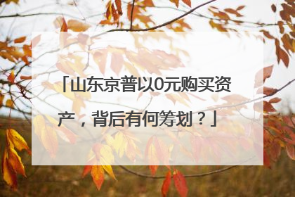 山东京普以0元购买资产，背后有何筹划？