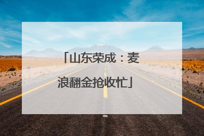 山东荣成：麦浪翻金抢收忙