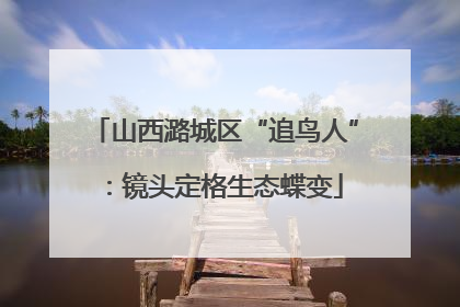 山西潞城区“追鸟人”：镜头定格生态蝶变