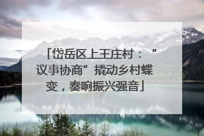 岱岳区上王庄村：“议事协商”撬动乡村蝶变，奏响振兴强音