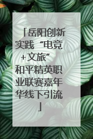 岳阳创新实践“电竞+文旅” 和平精英职业联赛嘉年华线下引流