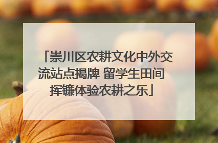 崇川区农耕文化中外交流站点揭牌 留学生田间挥镰体验农耕之乐
