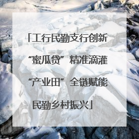 工行民勤支行创新“蜜瓜贷”精准滴灌“产业田”全链赋能民勤乡村振兴
