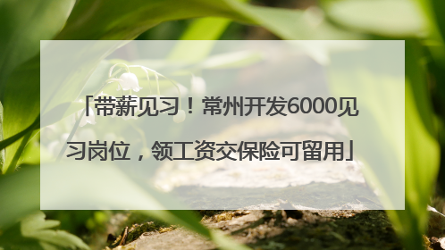 带薪见习！常州开发6000见习岗位，领工资交保险可留用