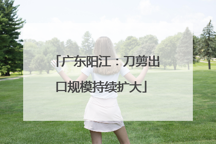 广东阳江：刀剪出口规模持续扩大