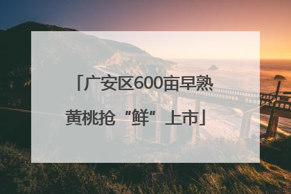 广安区600亩早熟黄桃抢“鲜”上市