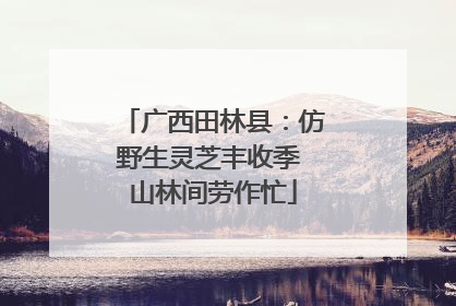 广西田林县：仿野生灵芝丰收季 山林间劳作忙