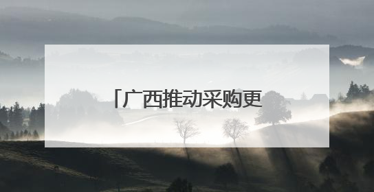 广西推动采购更多东盟国家水果进入寻常百姓家