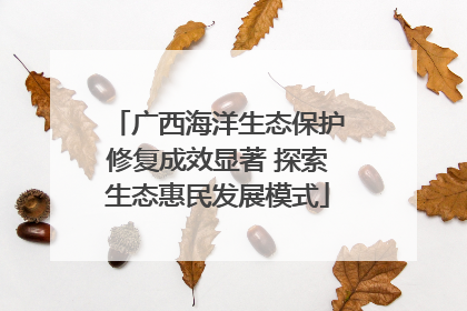 广西海洋生态保护修复成效显著 探索生态惠民发展模式