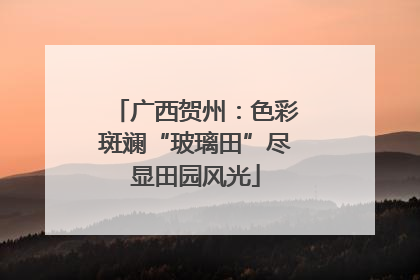 广西贺州：色彩斑斓“玻璃田”尽显田园风光