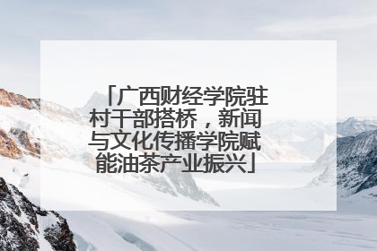 广西财经学院驻村干部搭桥，新闻与文化传播学院赋能油茶产业振兴