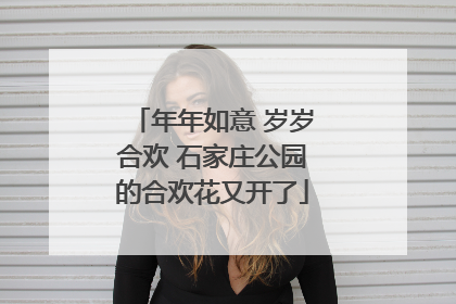 年年如意 岁岁合欢 石家庄公园的合欢花又开了