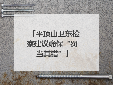 平顶山卫东检察建议确保“罚当其错”