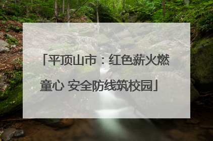 平顶山市：红色薪火燃童心 安全防线筑校园