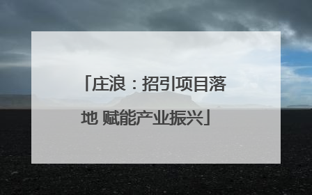 庄浪：招引项目落地 赋能产业振兴