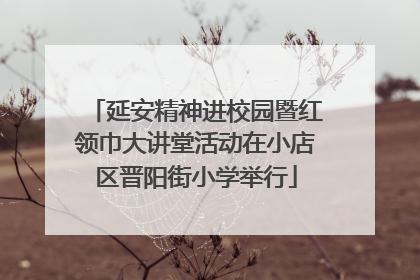 延安精神进校园暨红领巾大讲堂活动在小店区晋阳街小学举行