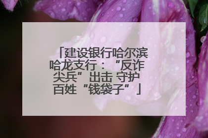 建设银行哈尔滨哈龙支行：“反诈尖兵”出击 守护百姓“钱袋子”