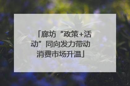 廊坊“政策+活动”同向发力带动消费市场升温