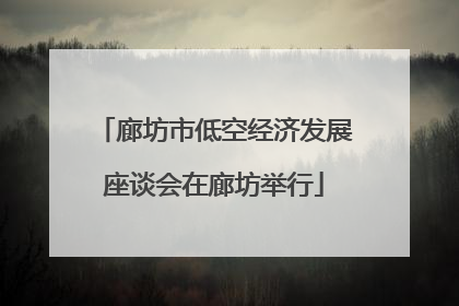 廊坊市低空经济发展座谈会在廊坊举行