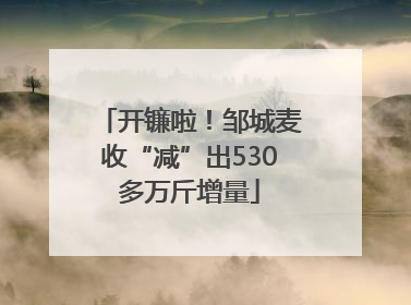 开镰啦！邹城麦收“减”出530多万斤增量