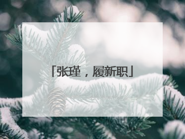 张瑾，履新职