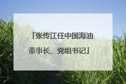 张传江任中国海油董事长、党组书记