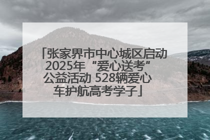 张家界市中心城区启动2025年“爱心送考”公益活动 528辆爱心车护航高考学子
