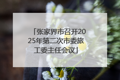 张家界市召开2025年第二次市委旅工委主任会议
