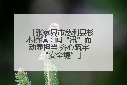 张家界市慈利县杉木桥镇：闻“汛”而动显担当 齐心筑牢“安全堤”