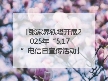 张家界铁塔开展2025年“5.17”电信日宣传活动