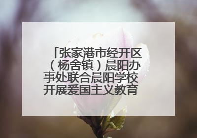 张家港市经开区（杨舍镇）晨阳办事处联合晨阳学校开展爱国主义教育主题升旗活动