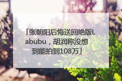 张朝阳后悔送回绝版Labubu，胡润称没想到能拍到108万