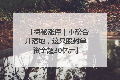 揭秘涨停｜重磅合并落地，这只股封单资金超30亿元