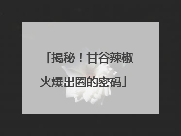 揭秘！甘谷辣椒火爆出圈的密码