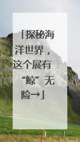 探秘海洋世界，这个展有“鲸”无险→