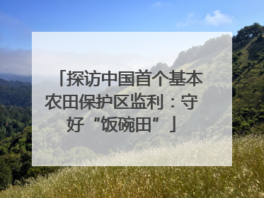 探访中国首个基本农田保护区监利：守好“饭碗田”