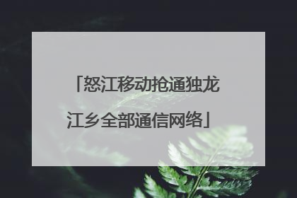 怒江移动抢通独龙江乡全部通信网络